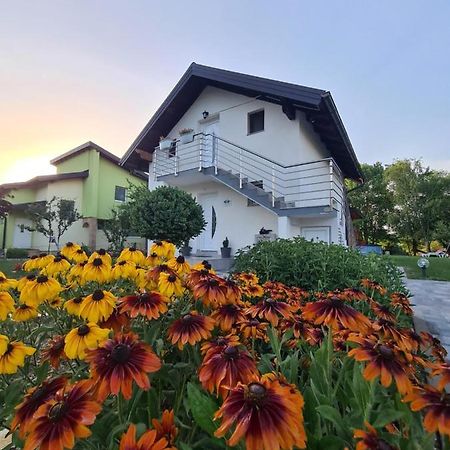 Orhidea Villa Bihac Exterior photo
